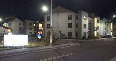 JSO: Woman taken into custody after shooting boyfriend at Northside apartment complex