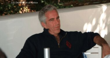 Jeffrey Epstein file 468: At least 16 files disappear from DOJ Epstein files library, including photo showing Donald Trump