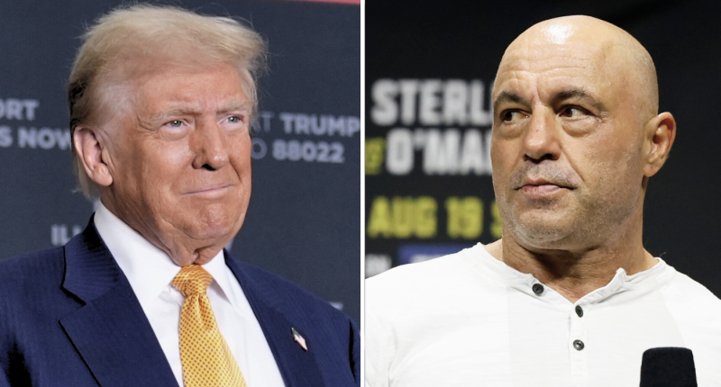 Joe Rogan slams Trump's Biden plaque at White House: 'This is so crazy'