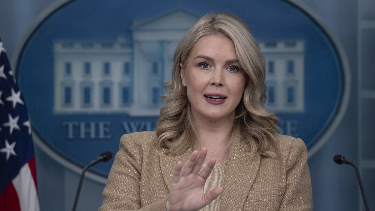 Karoline Leavitt eviscerates NYT reporter over 'false' Trump hit piece