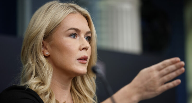 Karoline Leavitt's Ego Gets Eviscerated After Her 'Gross' Holiday Cooking Goes Viral