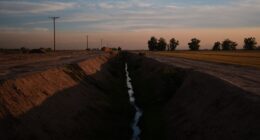 Kerri Ann Abatti killed: California farmer Michael Abatti arrested on suspicion of murder in wife's death in Arizona