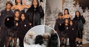 Kim Kardashian called out by PETA for gifting kids four dogs for Christmas: ‘Puppies are not plushies’