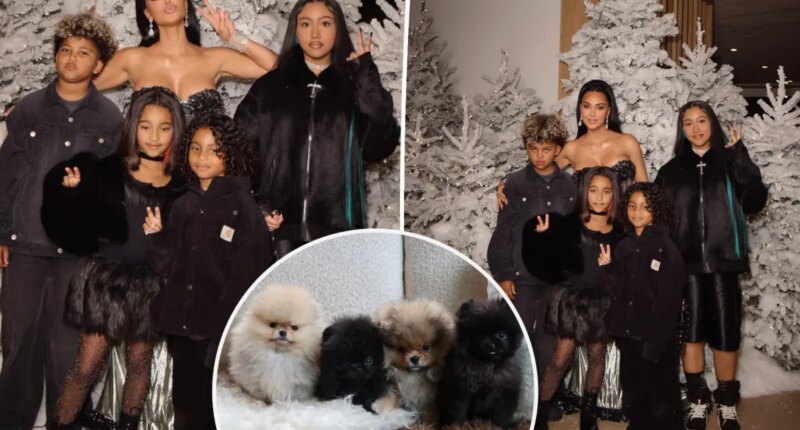 Kim Kardashian called out by PETA for gifting kids four dogs for Christmas: ‘Puppies are not plushies’