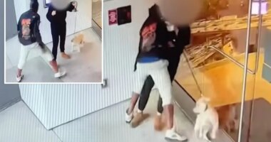 LA sex assault caught on camera, homeless suspect flees