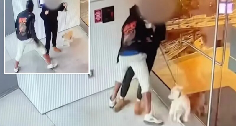 LA sex assault caught on camera, homeless suspect flees