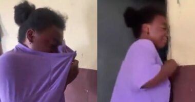 Lady breaks down in tears as Christmas chicken struggles for its life