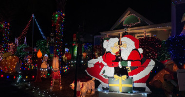 Lady's Island family spreads joy with free Christmas light display
