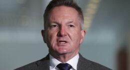Minister for Climate Change and Energy Chris Bowen during a press conference at Parliament House in Canberra on Tuesday 4 November 2025.