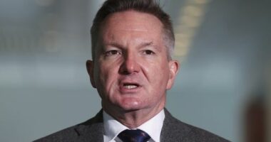 Minister for Climate Change and Energy Chris Bowen during a press conference at Parliament House in Canberra on Tuesday 4 November 2025.