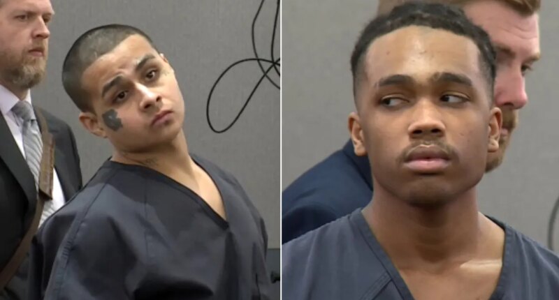 Las Vegas men who pleaded guilty to mowing down retired police chief learn sentence