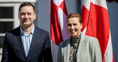 Leaders speak out after Trump resurrects Greenland takeover spectre