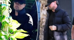 Leonardo DiCaprio stays under the radar while hitting Miami’s VIP party scene during Art Basel