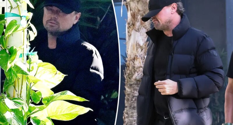 Leonardo DiCaprio stays under the radar while hitting Miami’s VIP party scene during Art Basel