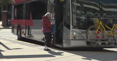 'Let's try to get them back': JTA CEO hopes reduced fare will boost ridership, save riders money