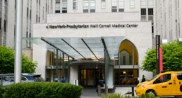 Lifeless newborn exposed to fentanyl before being dumped at NYC hospital