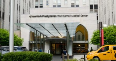 Lifeless newborn exposed to fentanyl before being dumped at NYC hospital