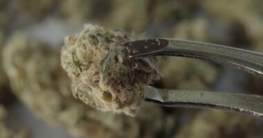 Local attorney explains what marijuana reclassification could mean for public