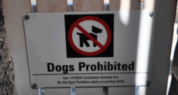 Sydneysiders are up in arms about a council decision to prohibit dogs from a popular beach in the affluent eastern suburbs.