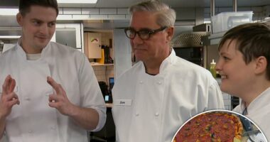 Love Island's Alex flops on Celebrity MasterChef, by Jim Shelley