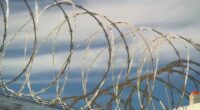 Adelaide prison security breach
