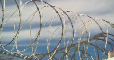 Adelaide prison security breach