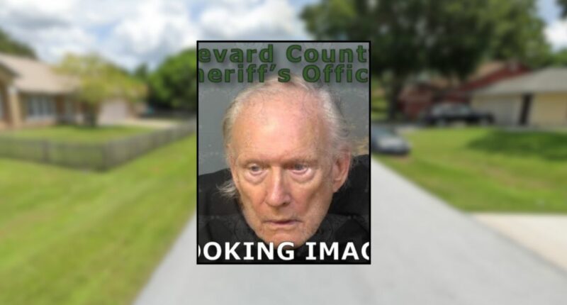 Man, 84, shoots son in face for not visiting his mom: Cops