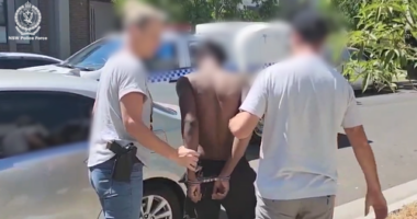 Man accused of throwing grenade during home attack in suburban street