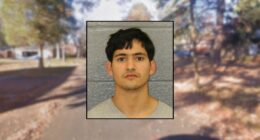 Man beat his uncle with a 'rock like paver': Police