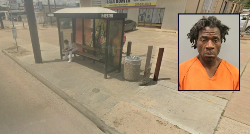 Man beats victim with TV, then rolls body to bus stop: Cops