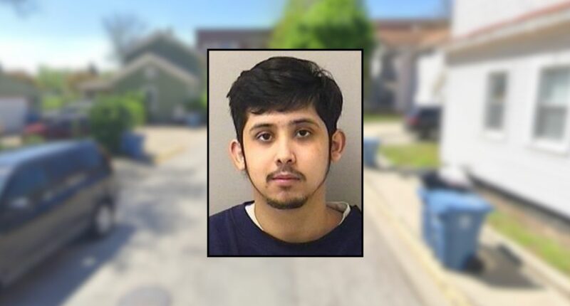 Man fatally stabbed his mom 26 times then told his brother