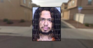 Man shoots stepsister's boyfriend in the neck: Police