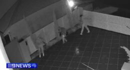 CCTV obtained by 9News shows a group of masked men creeping up the driveway of the home on Mander Court in Wellington Point about 1am.