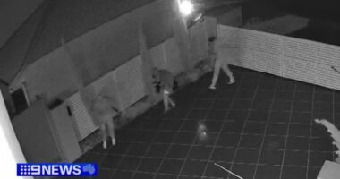 CCTV obtained by 9News shows a group of masked men creeping up the driveway of the home on Mander Court in Wellington Point about 1am.
