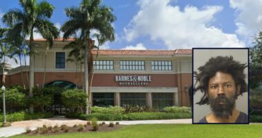 Man stabbed woman to death at Barnes & Noble because she was 'closest person inside store,' cops say