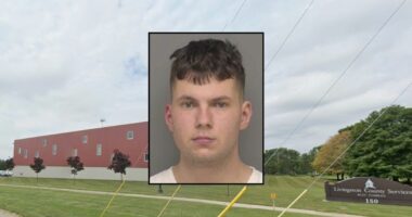 Man stalked girl, hurled 'fireballs' at her house: Deputies