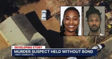 Man told friend that he shot girlfriend in the head: Police