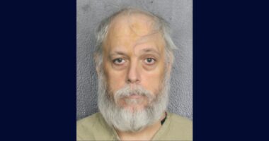 Man tried to kill mom with dementia with frying pan: Cops