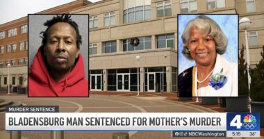 Man who killed 72-year-old mom after fight gets 72 years