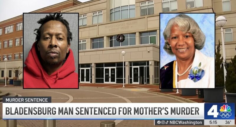 Man who killed 72-year-old mom after fight gets 72 years