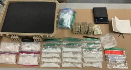 Meadowview man held without bond after slew of drug charges