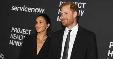 Meghan Markle and Prince Harry's Christmas plans revealed after Royal Family snub