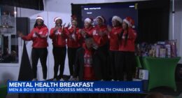 Men, boys meet to address mental health challenges at Josephine's Southern Cooking breakfast event on Chicago's South Side