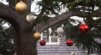 Christmas decorations hang from a tree on the front yard to Rob Reiner
