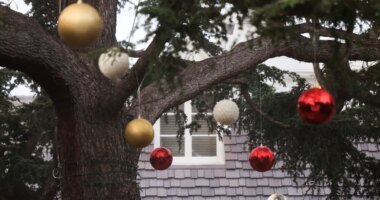 Christmas decorations hang from a tree on the front yard to Rob Reiner