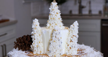 Michelle Heston of Heston Cakes shares creative holiday cake decorating ideas and tips for extra wow
