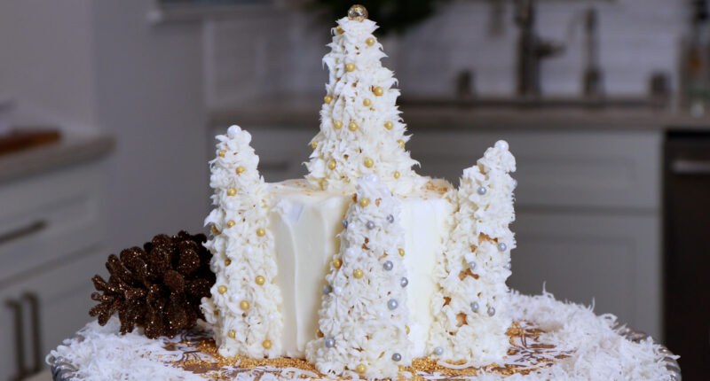Michelle Heston of Heston Cakes shares creative holiday cake decorating ideas and tips for extra wow