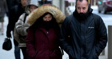 Millions brace for another Arctic blast