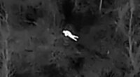 Missing elderly person found in bitter cold woods after police deploy thermal imaging drone