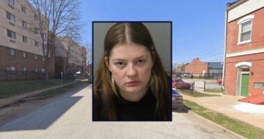 Mom avoids prison after smothering infant son for the 'rush'